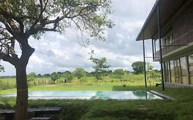 Tree Tops Yala